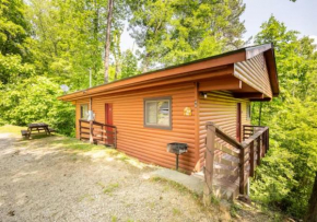 Lazy Bear Cabin near Nantahala Outdoor Center and Bryson City